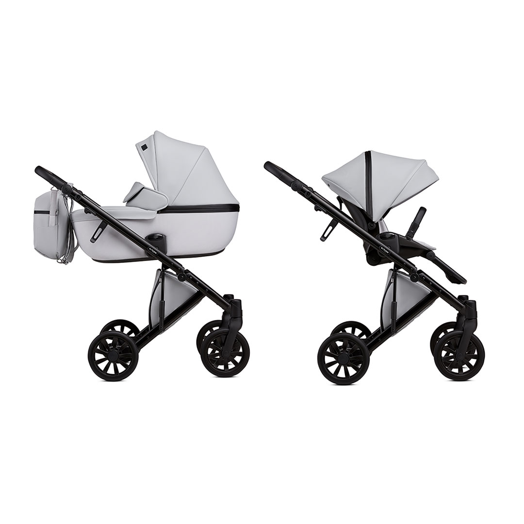 2 in 1 stroller