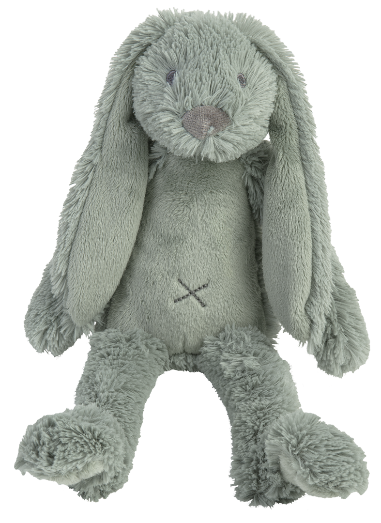 beweeglijkheid Melodieus Zonnig Order the Happy Horse Tiny Rabbit Richie - 28 cm. online - Baby Plus