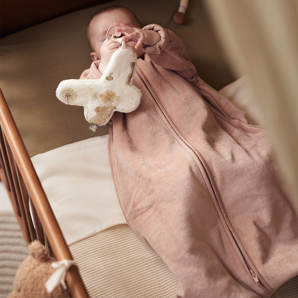 Order the Jollein Sleeping Bag With Detachable Sleeves Velvet online - Baby  Plus